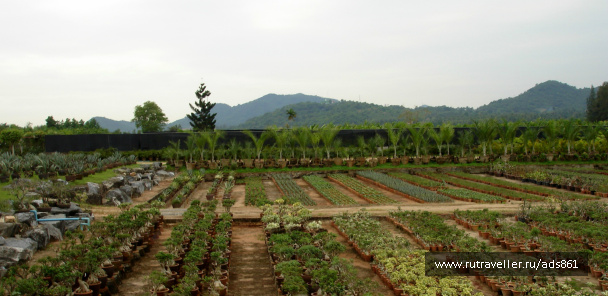 photo 79573