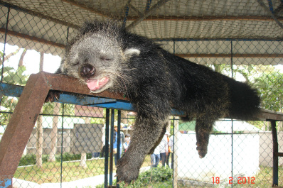 photo 410942