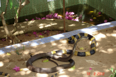 photo 410945