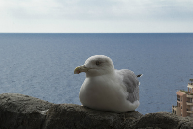 photo 406922