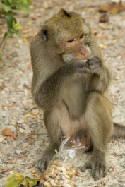 photo 409699