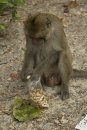 photo 409701