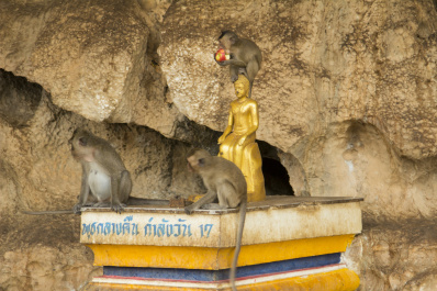 photo 409716