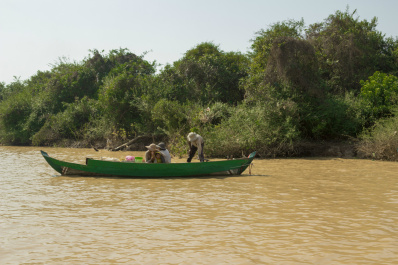 photo 409981