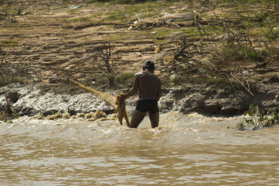 photo 409990