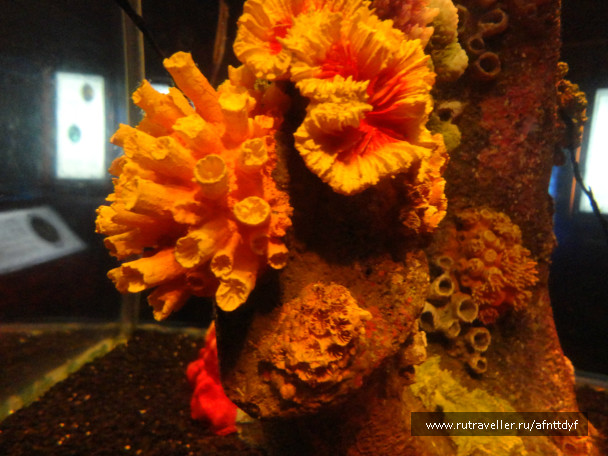 photo 422476