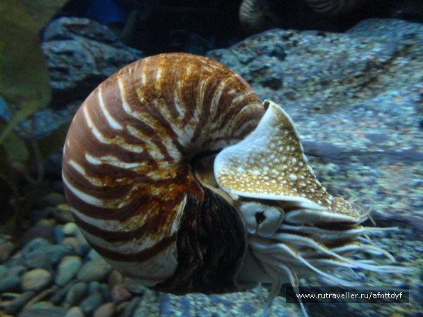 photo 422477