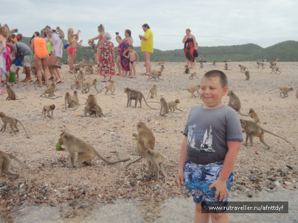 photo 422483