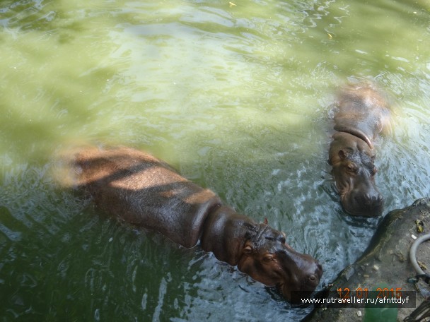photo 957788