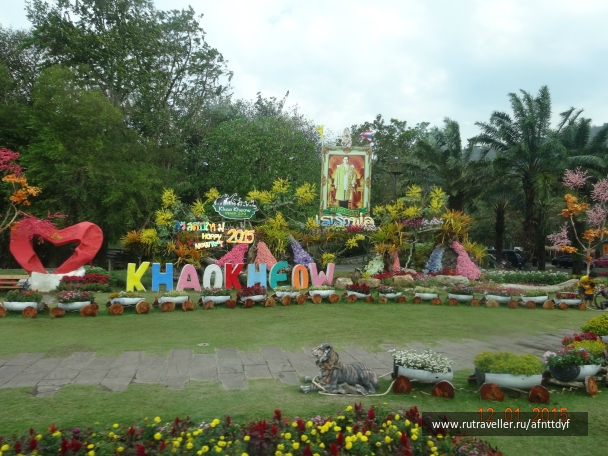 photo 957789