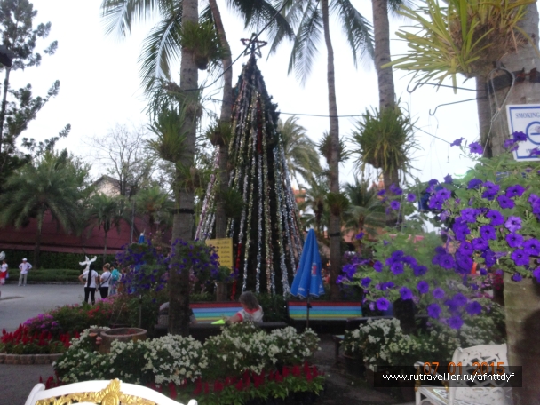 photo 957791