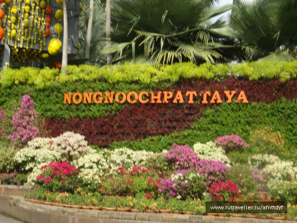photo 957798
