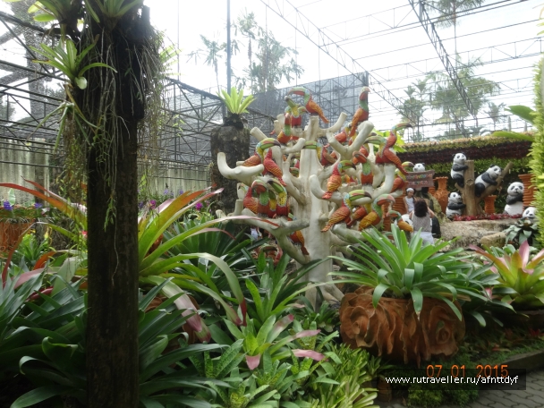 photo 957803