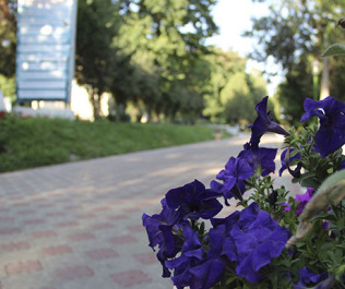 photo 535850