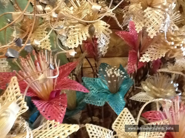 photo 1167231