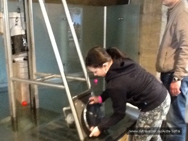 photo 1172879
