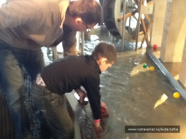 photo 1172881