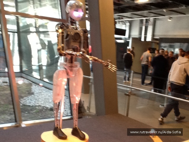 photo 1172884