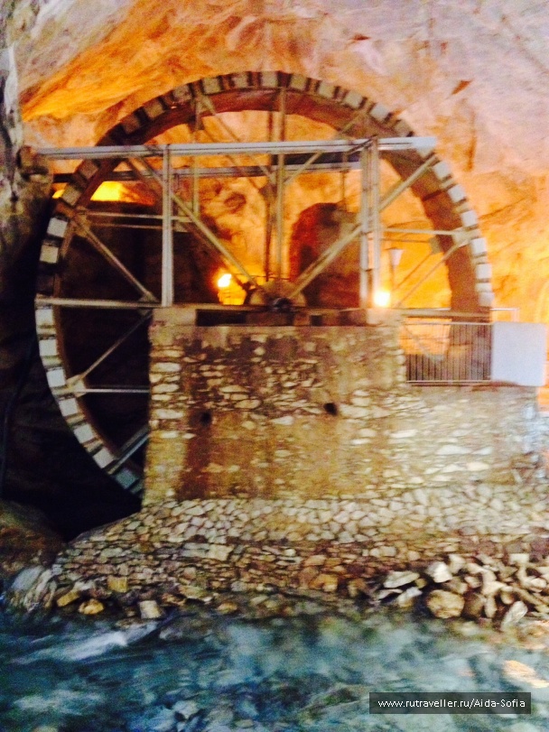photo 1172904