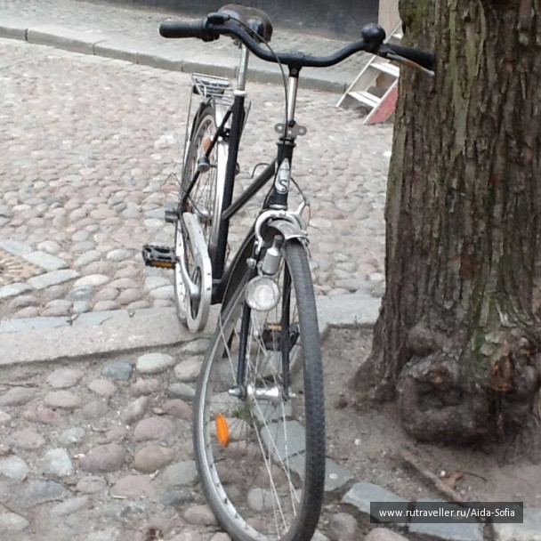 photo 1172908
