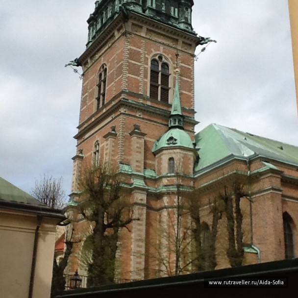 photo 1172909