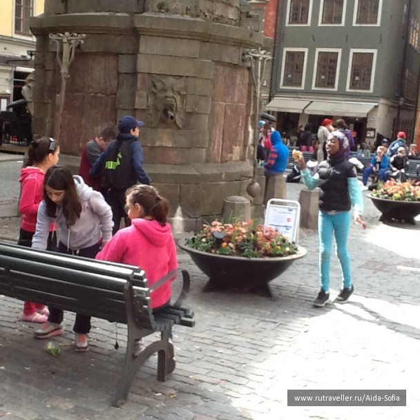 photo 1172911