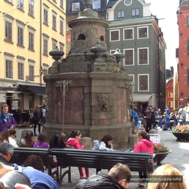 photo 1172912