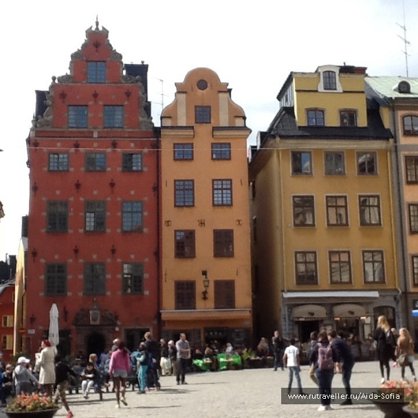 photo 1172913