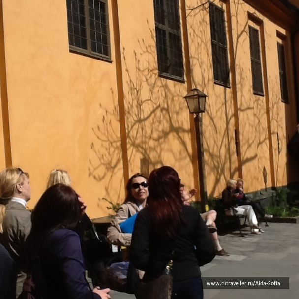 photo 1172915