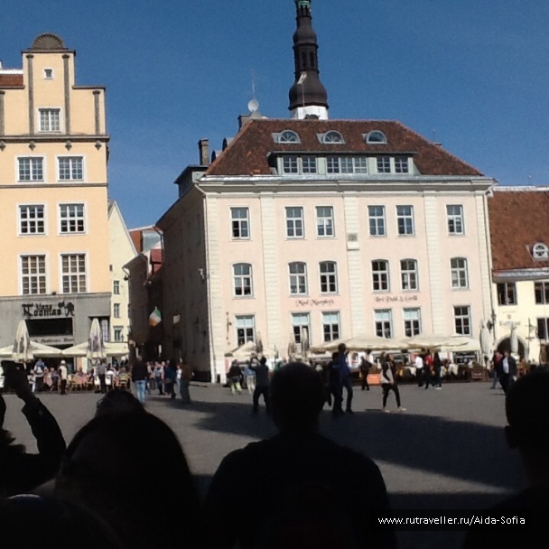 photo 1172954