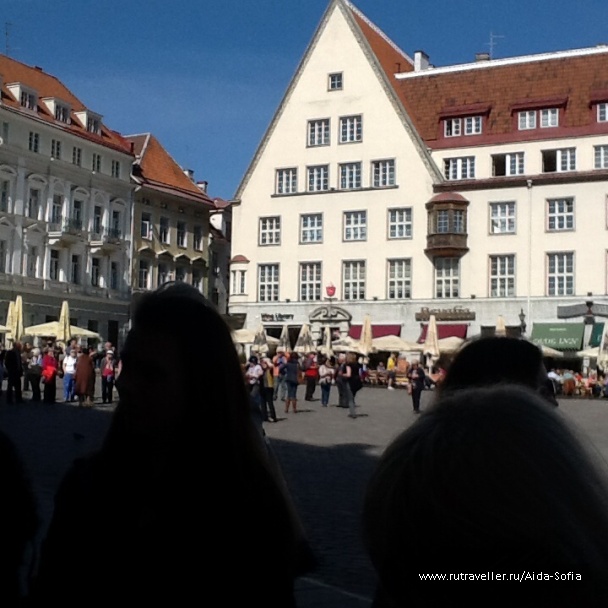 photo 1172955