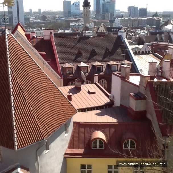 photo 1172960