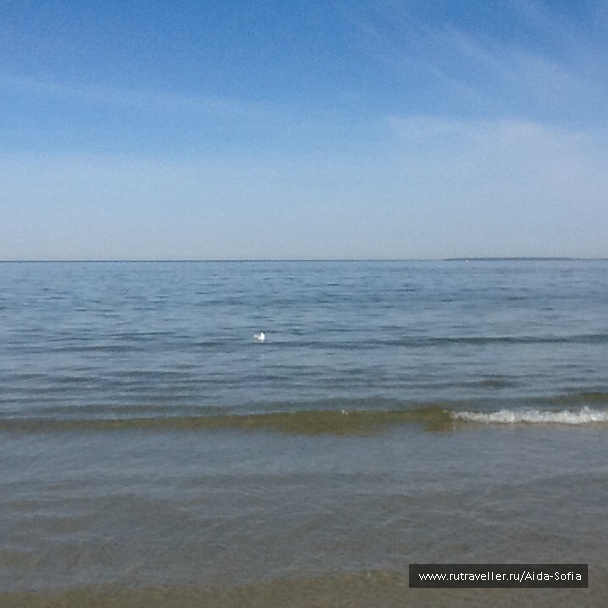 photo 1172963