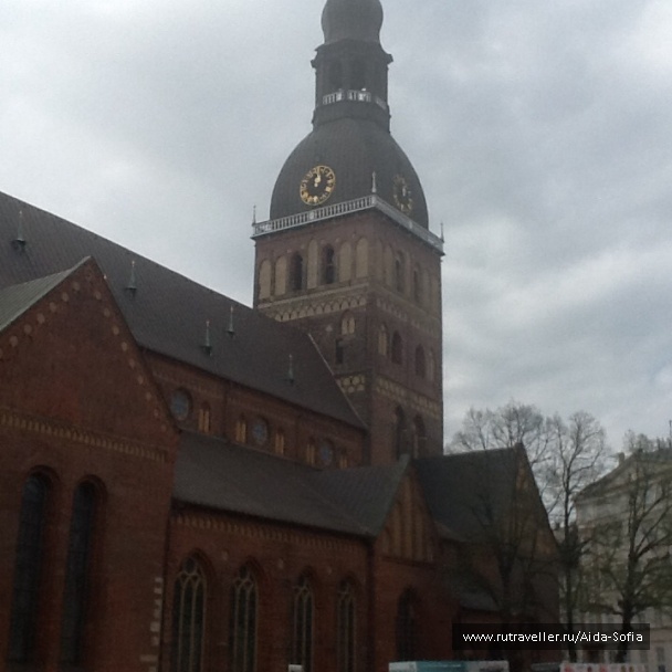 photo 1172973
