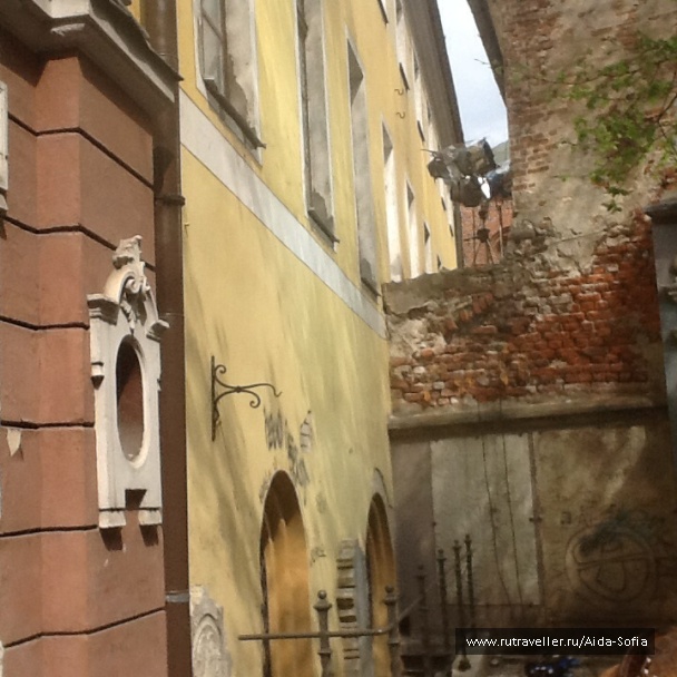 photo 1172977