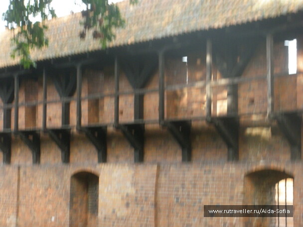 photo 1173027