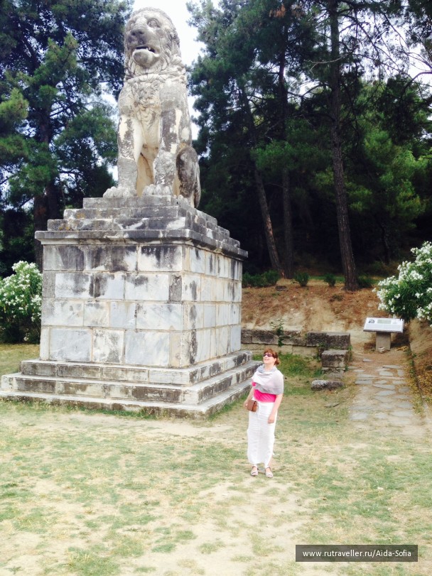 photo 1173823