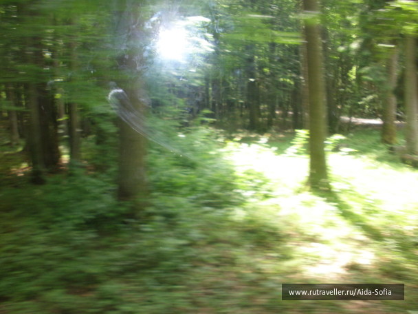 photo 1173848