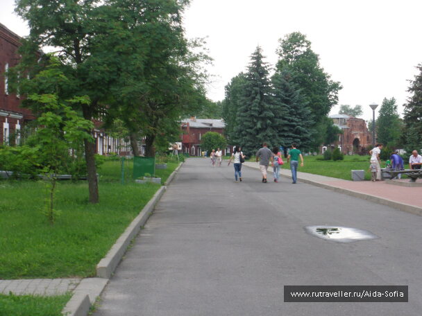 photo 1173893