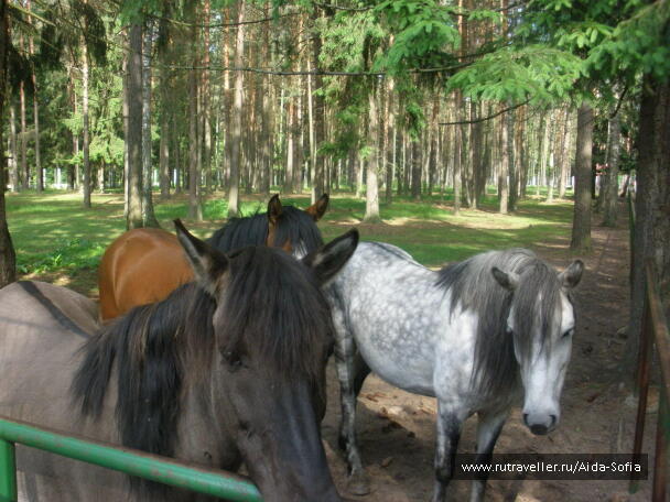 photo 1173946