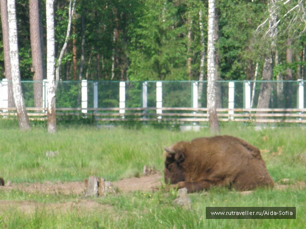 photo 1173952