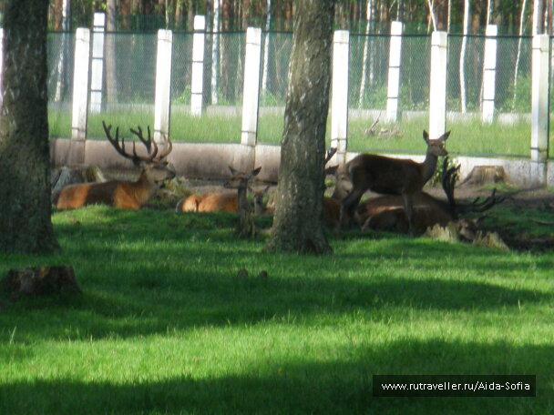 photo 1173955