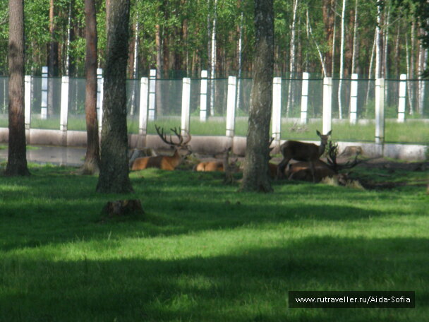 photo 1173956