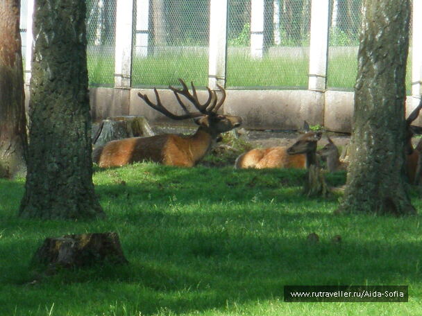photo 1173957