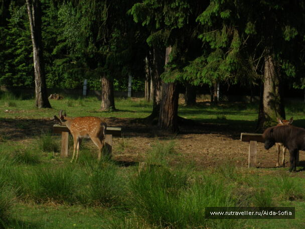 photo 1173960