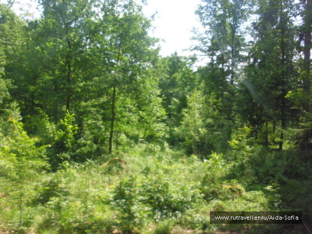 photo 1173961