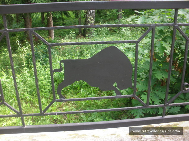 photo 1173964
