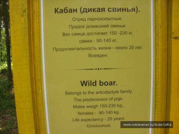 photo 1173966
