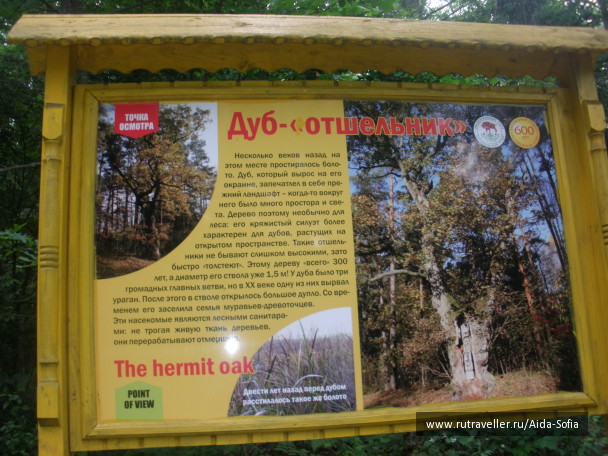 photo 1173975
