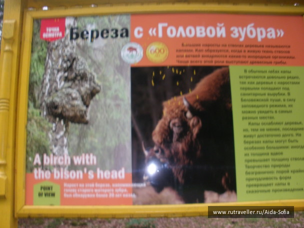 photo 1173977